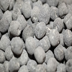 Supersalta Sjöstjärnor (2 st)