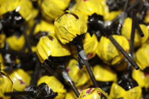 Supersalta Sjöstjärnor (2 st)