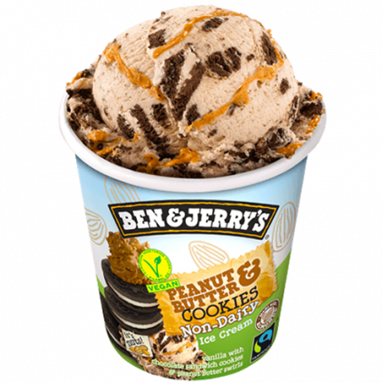 Ben & Jerry's Peanut & Butter Cookies Non-Diary